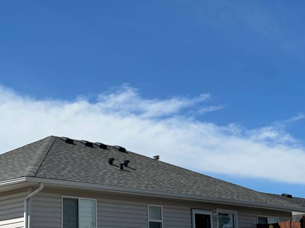 Best Roof Moss and Algae Removal  in Celina, OH