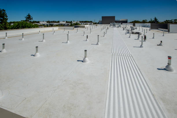 Best Hot Roofs  in Celina, OH